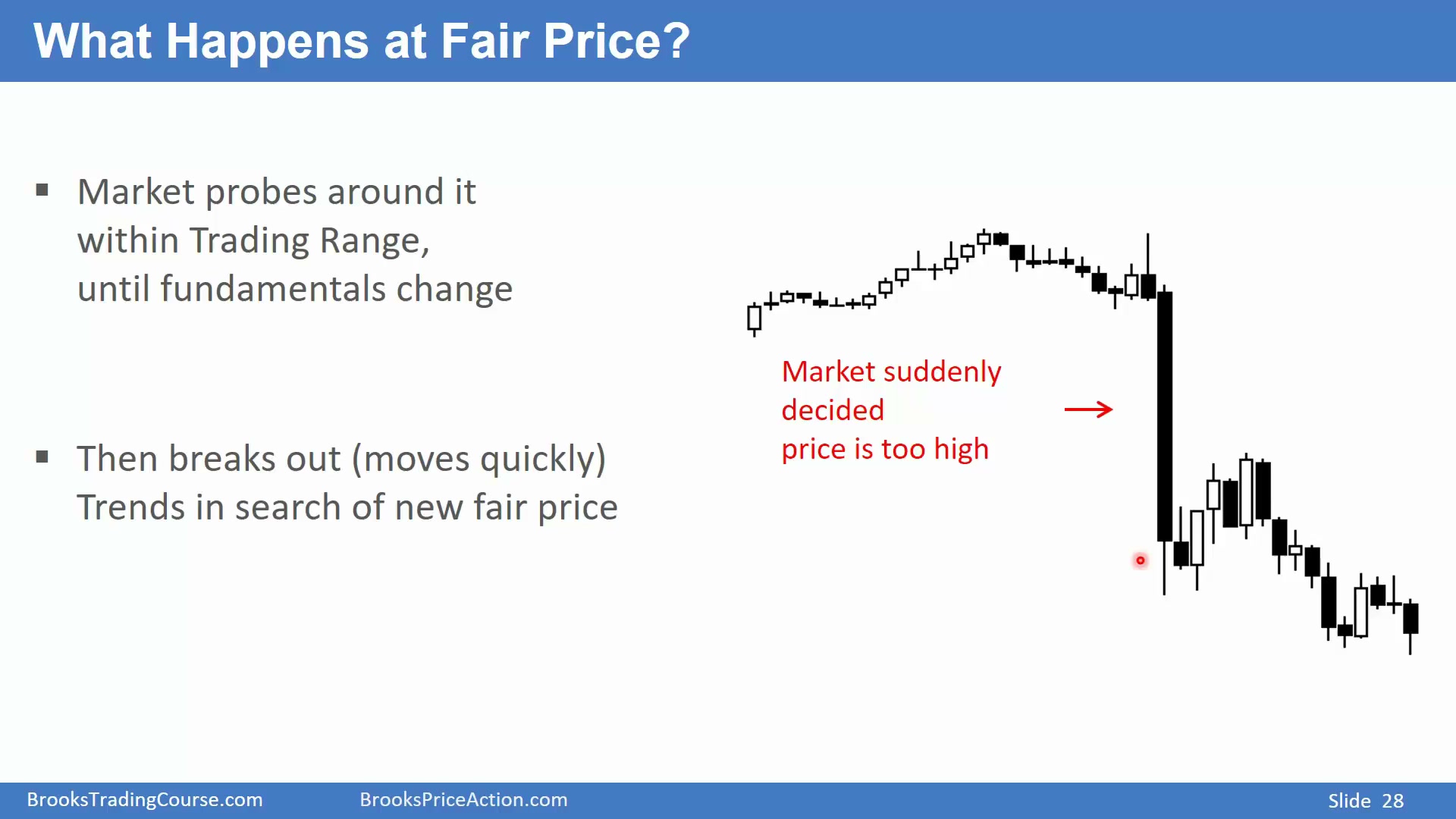 Slide 028
