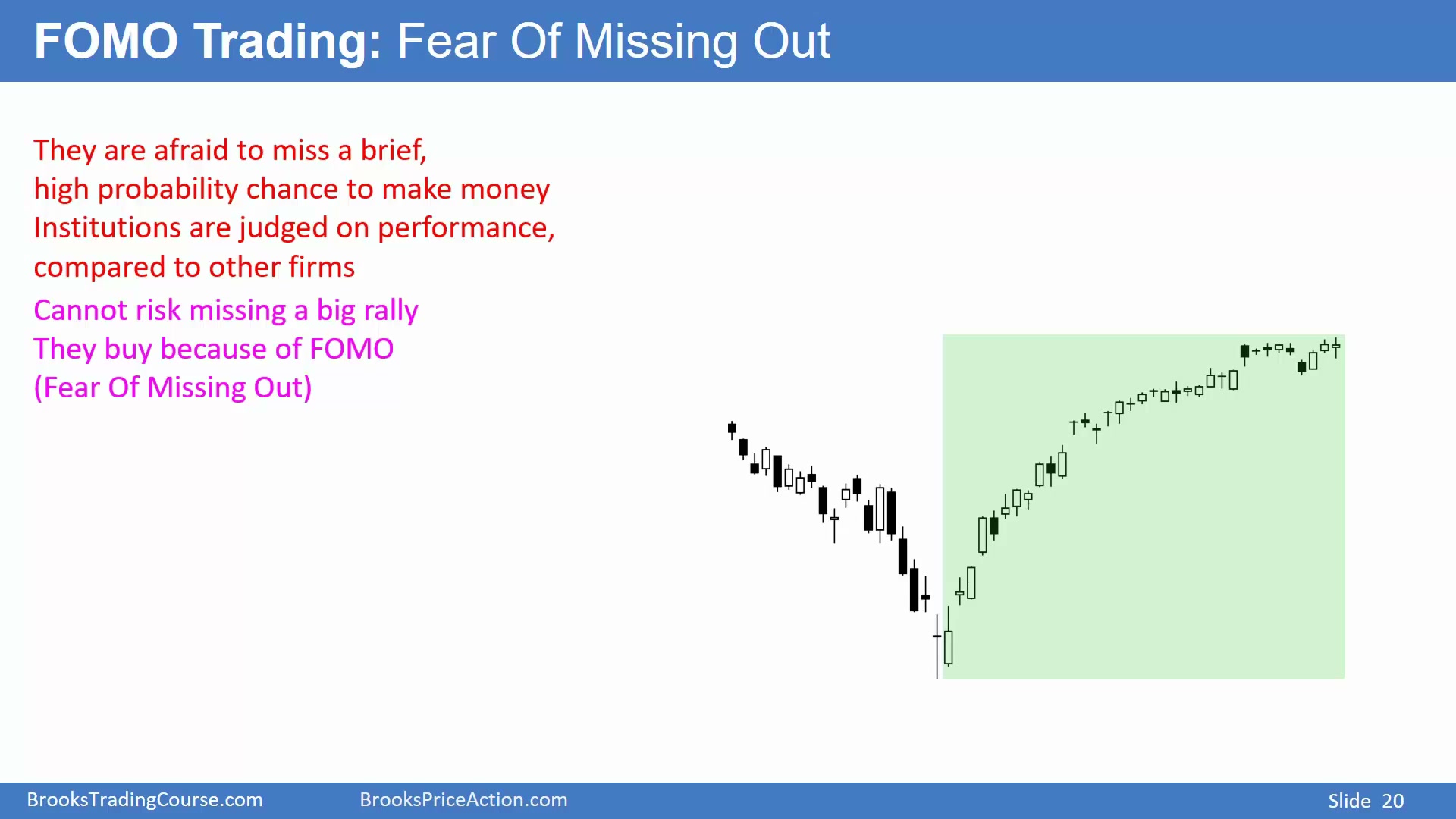 Slide 020