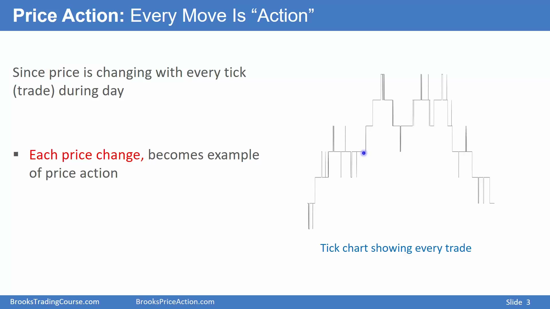 Slide 003