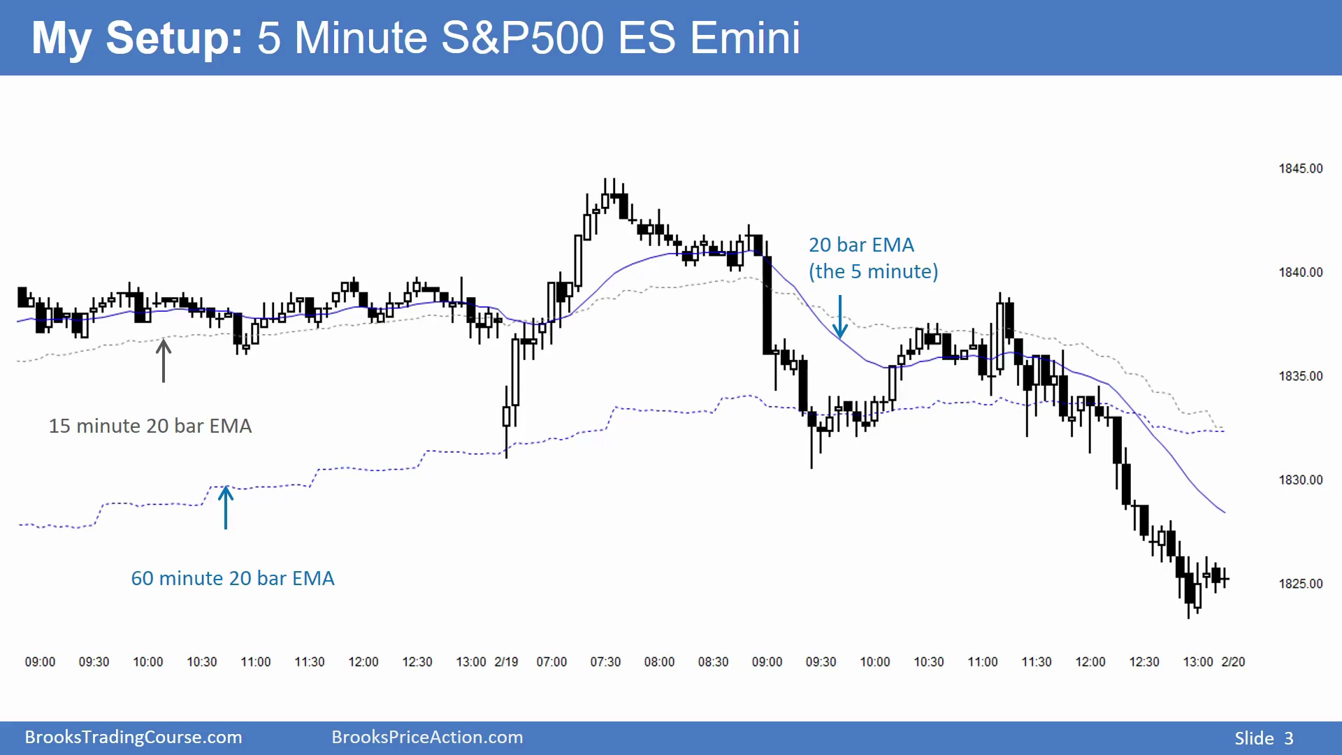 Slide 003