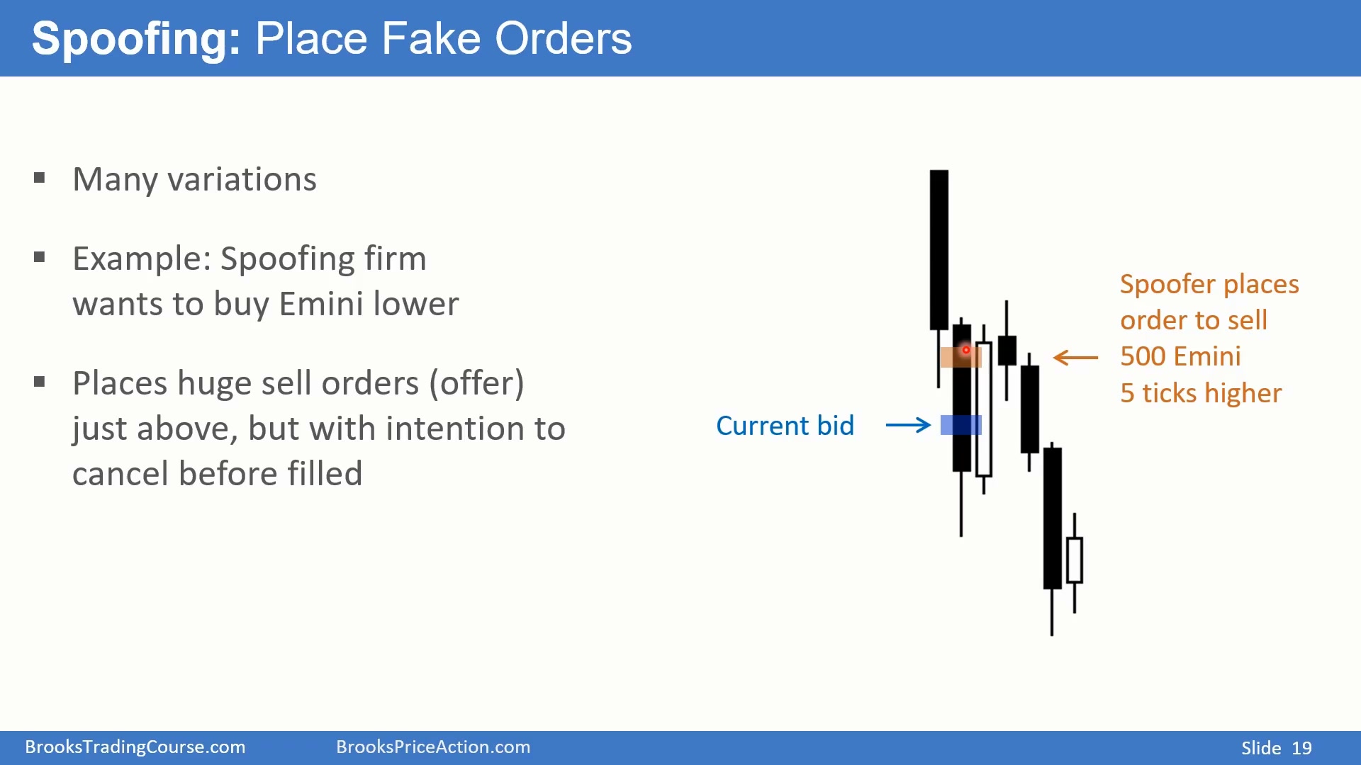 Slide 019