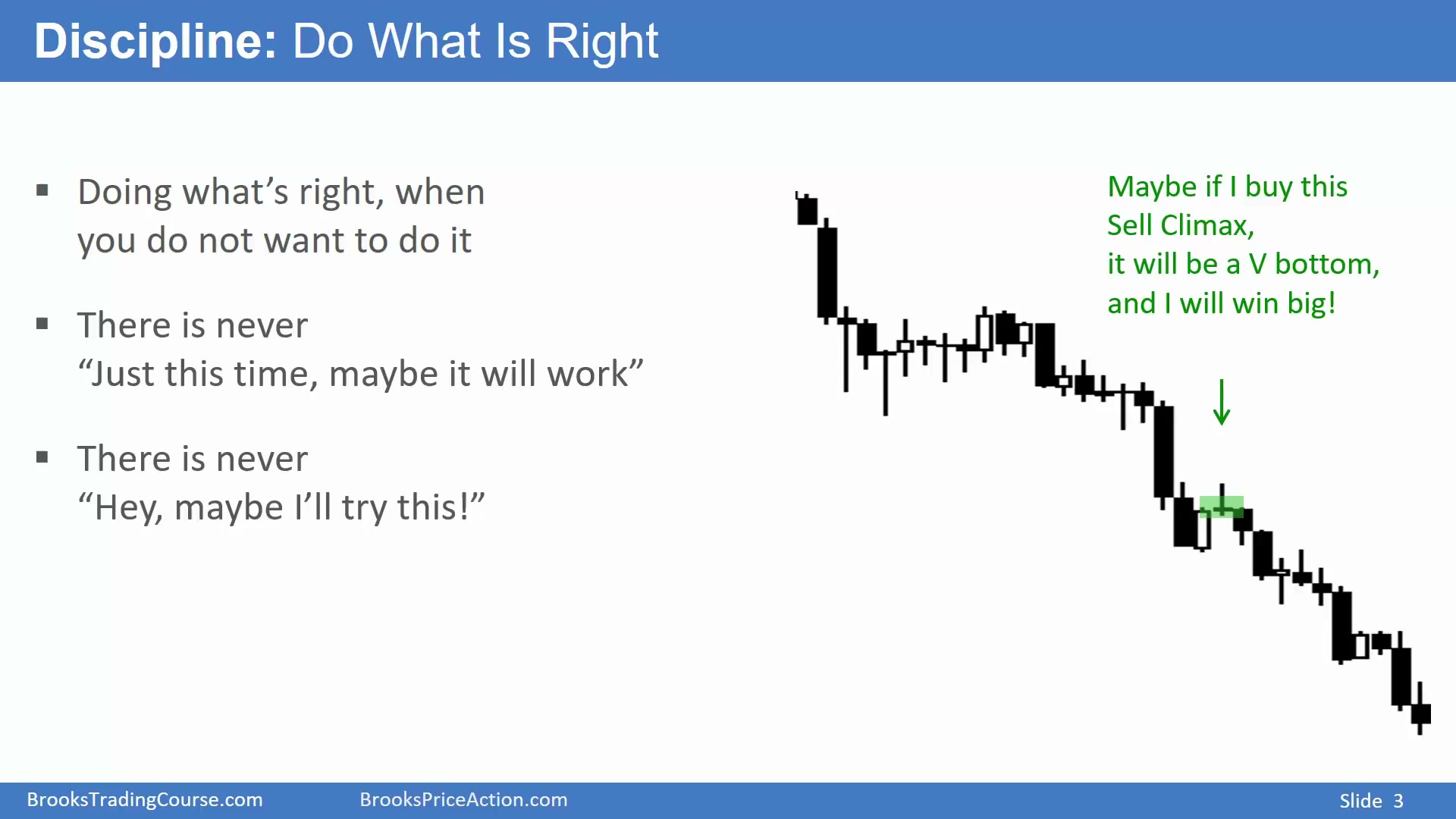 Slide 003