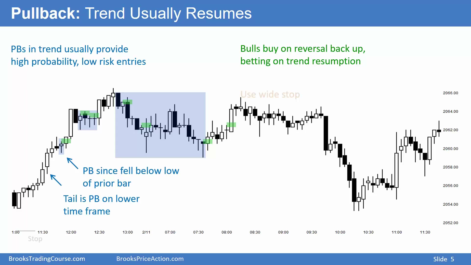 Slide 005