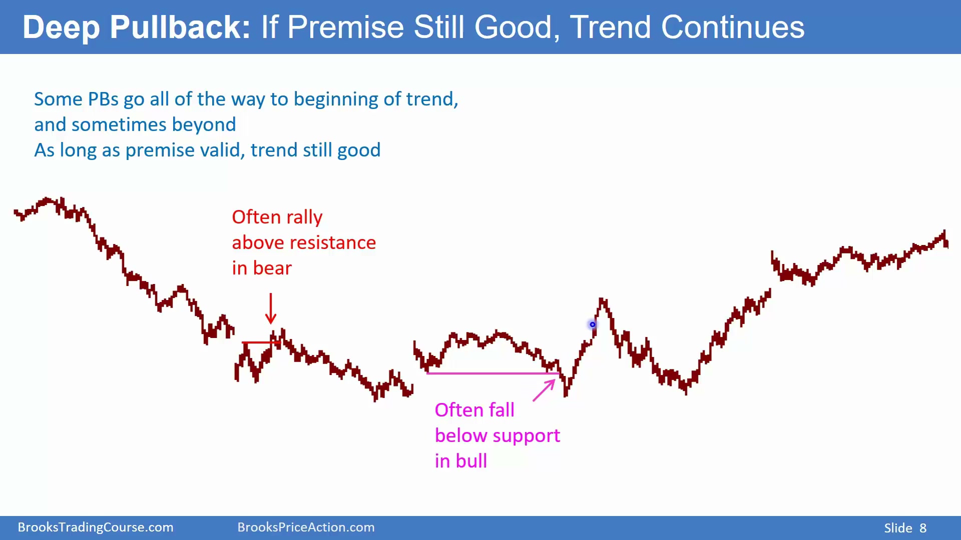 Slide 008