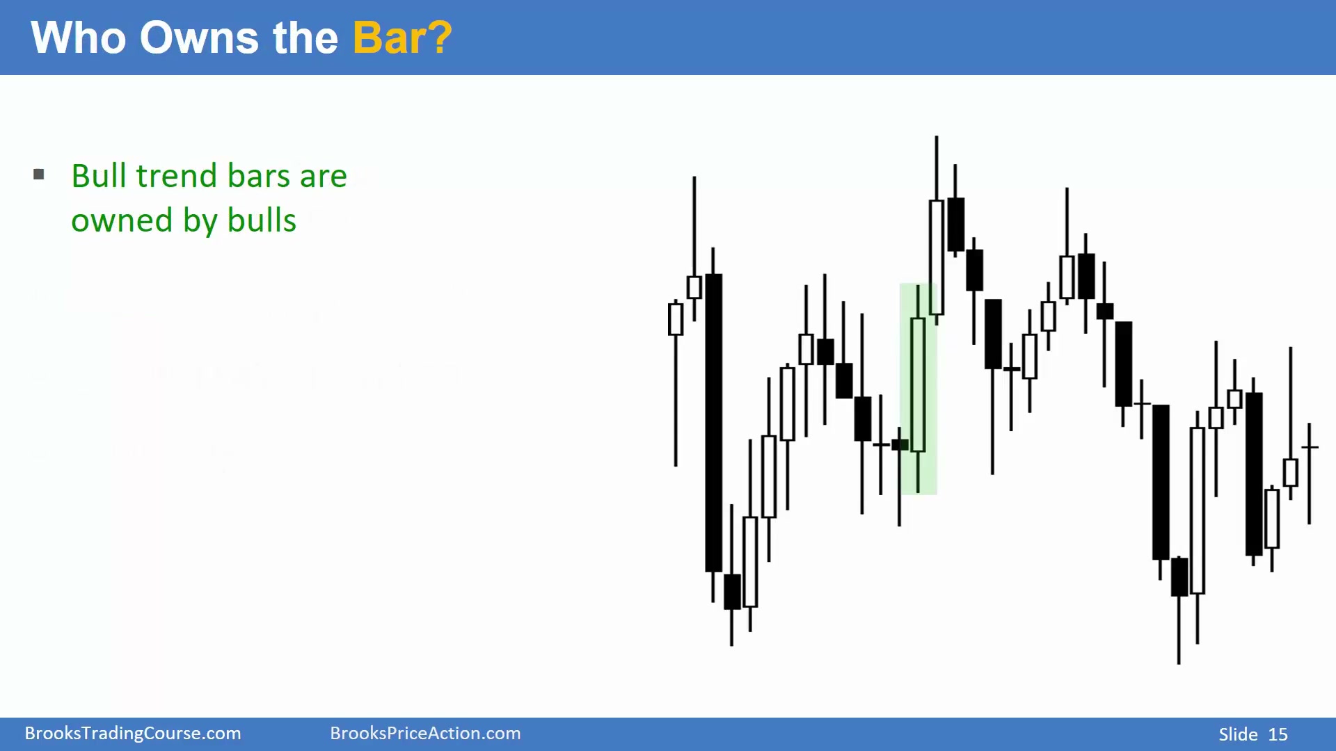 Slide 015