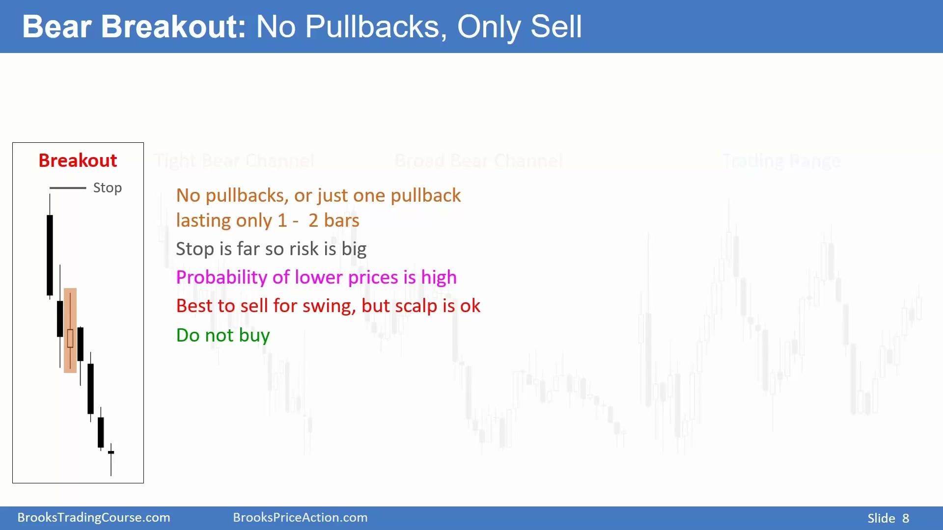 Slide 008