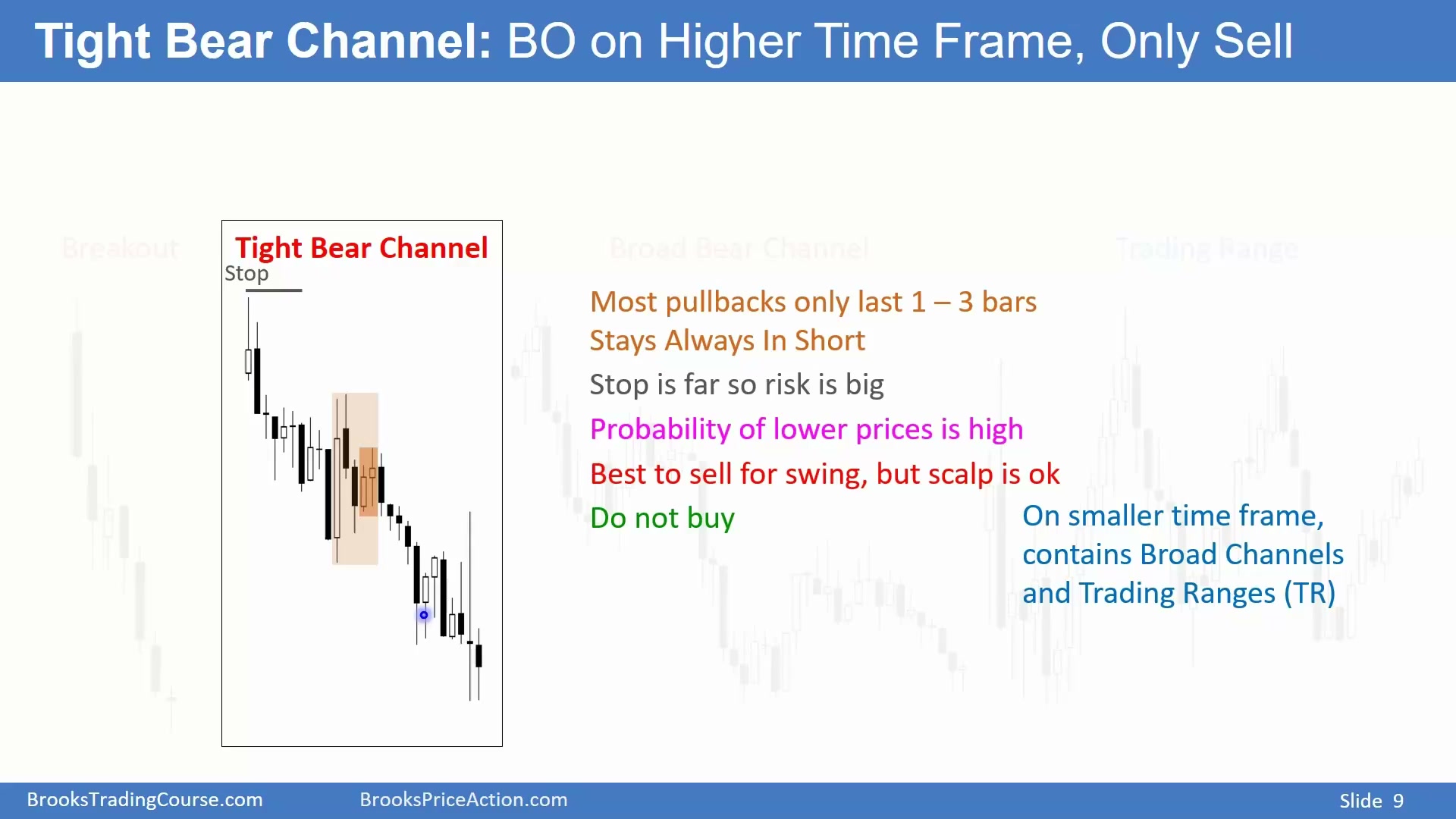 Slide 009