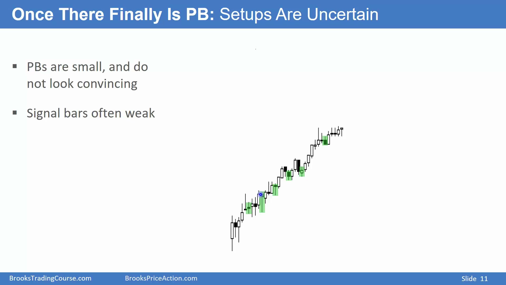 Slide 011