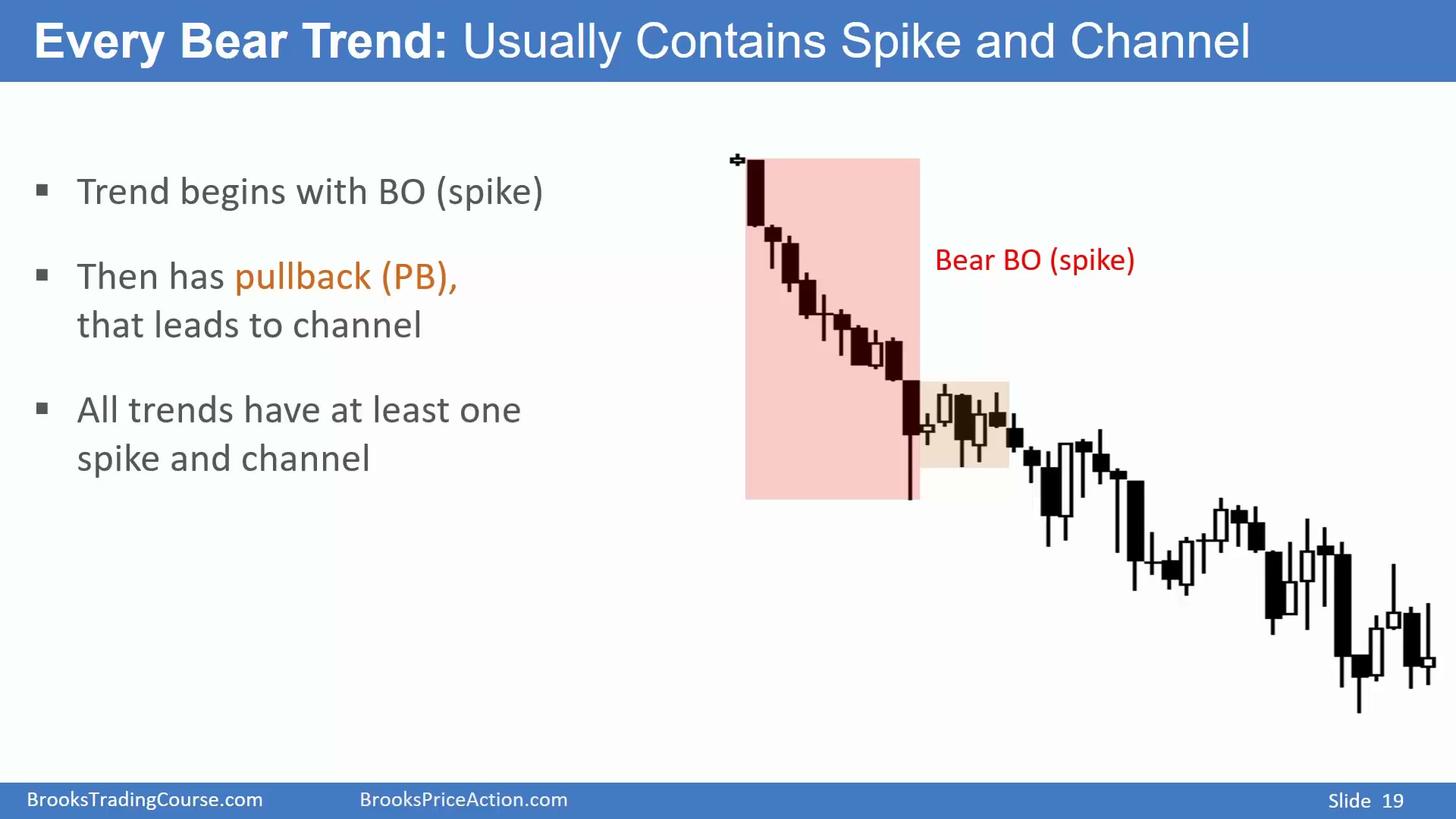 Slide 017