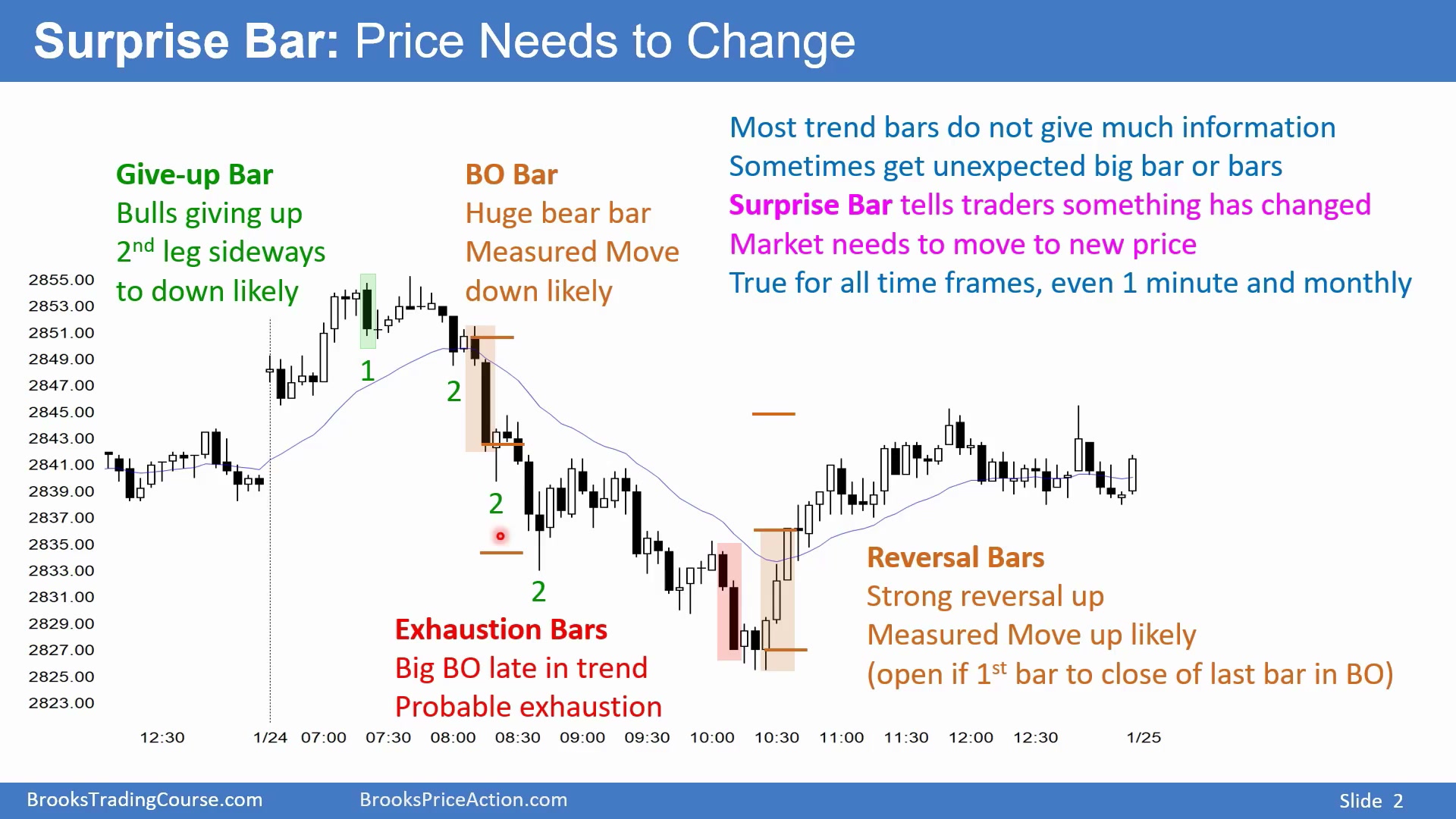 Slide 002