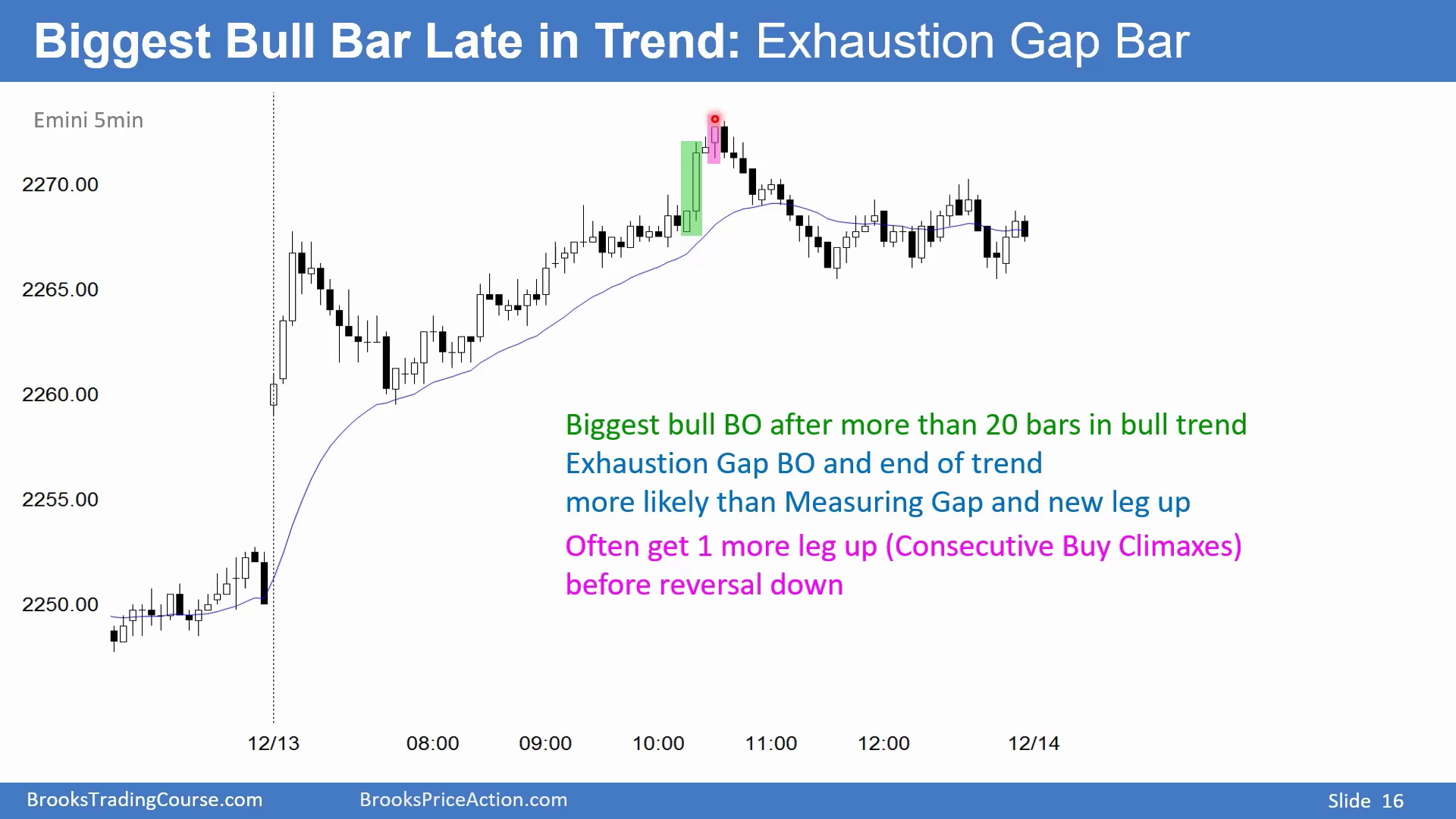 Slide 016
