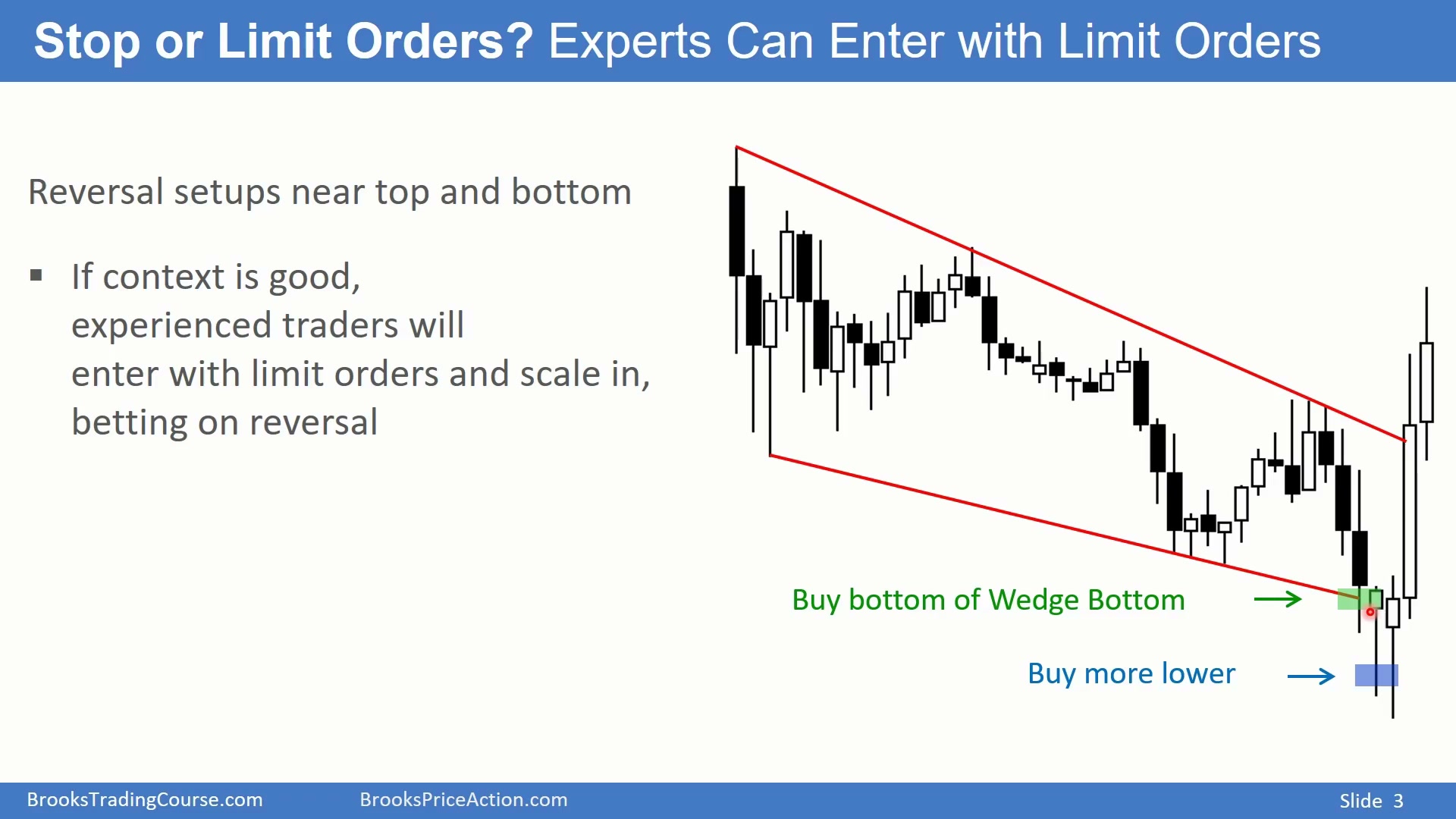 Slide 003