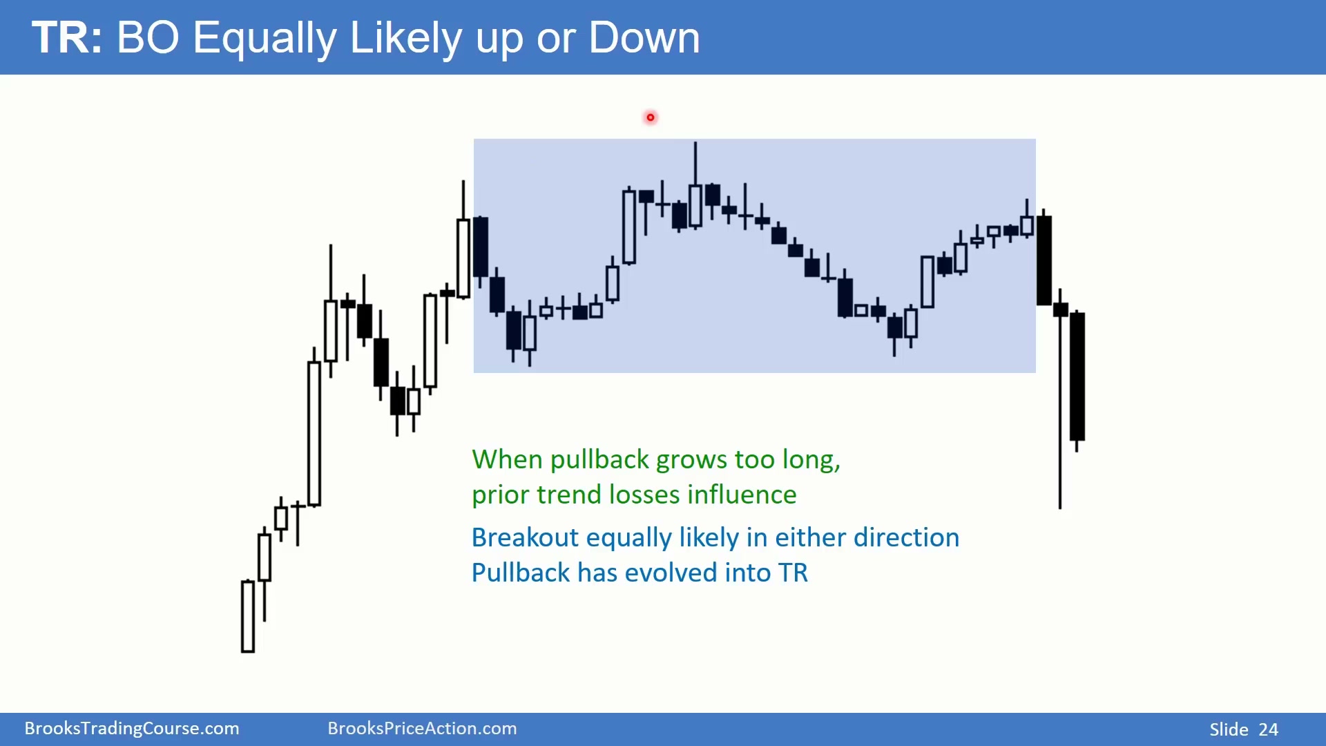 Slide 024