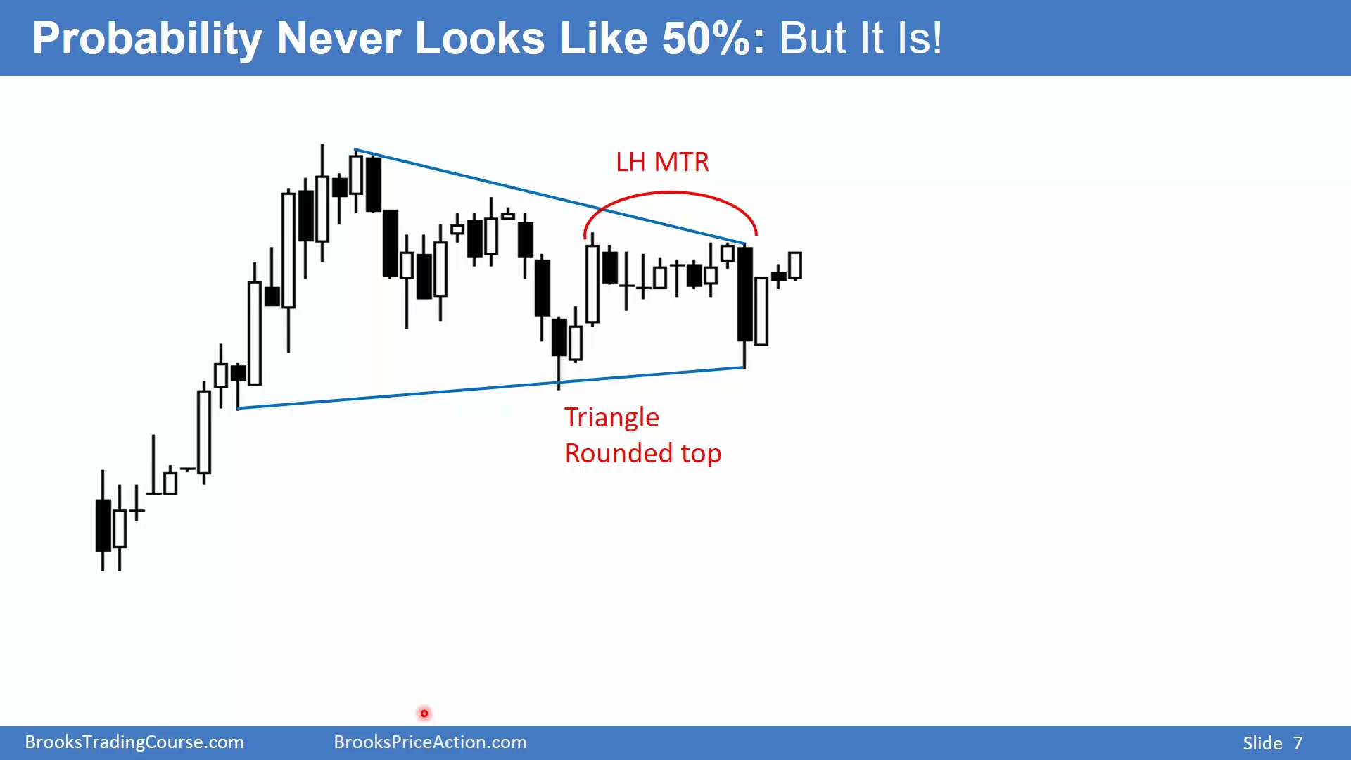 Slide 007