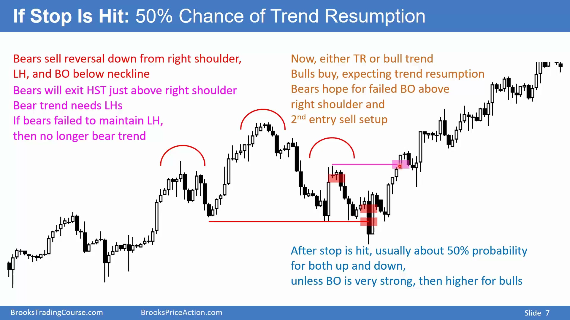 Slide 007