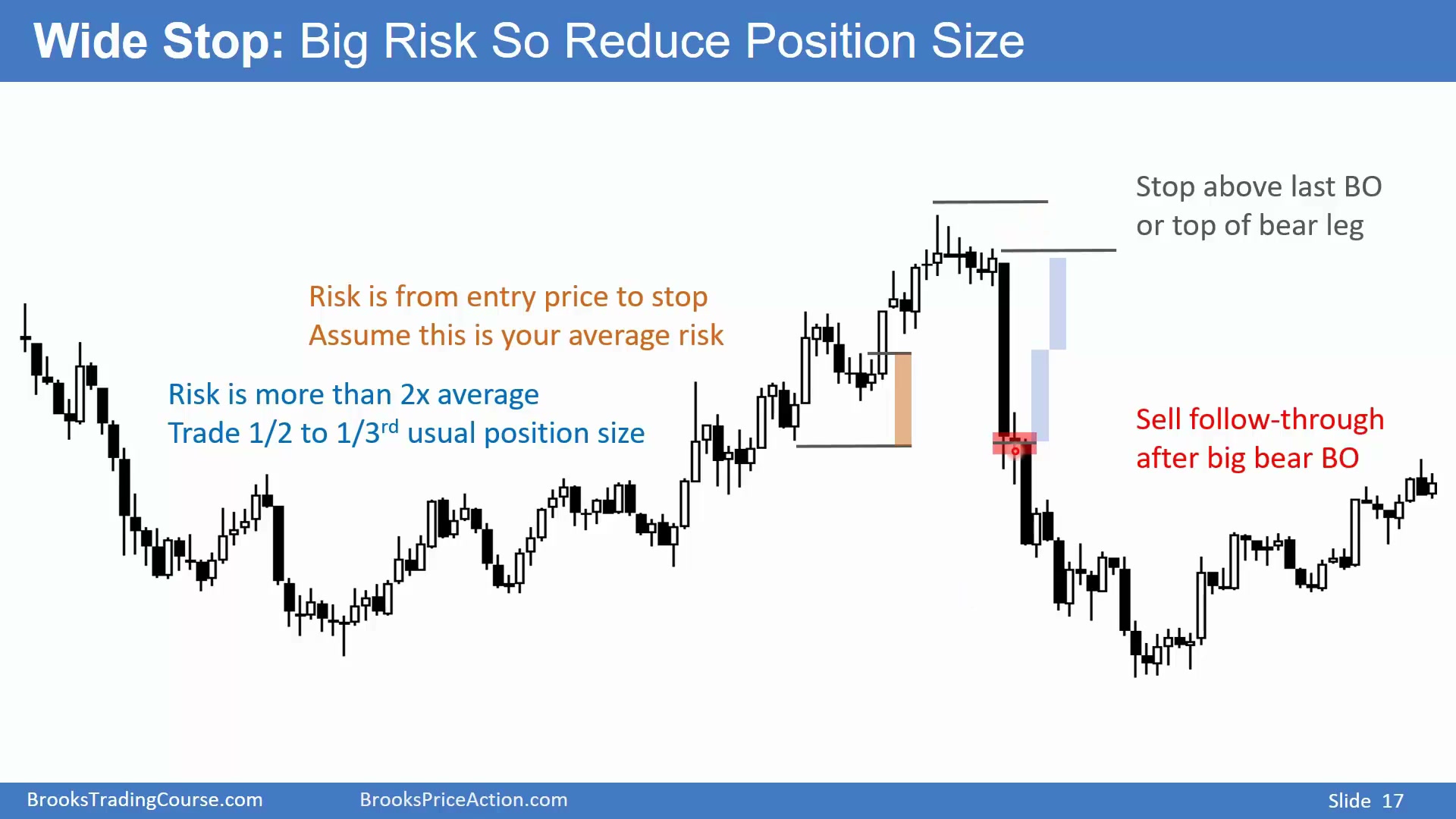 Slide 016