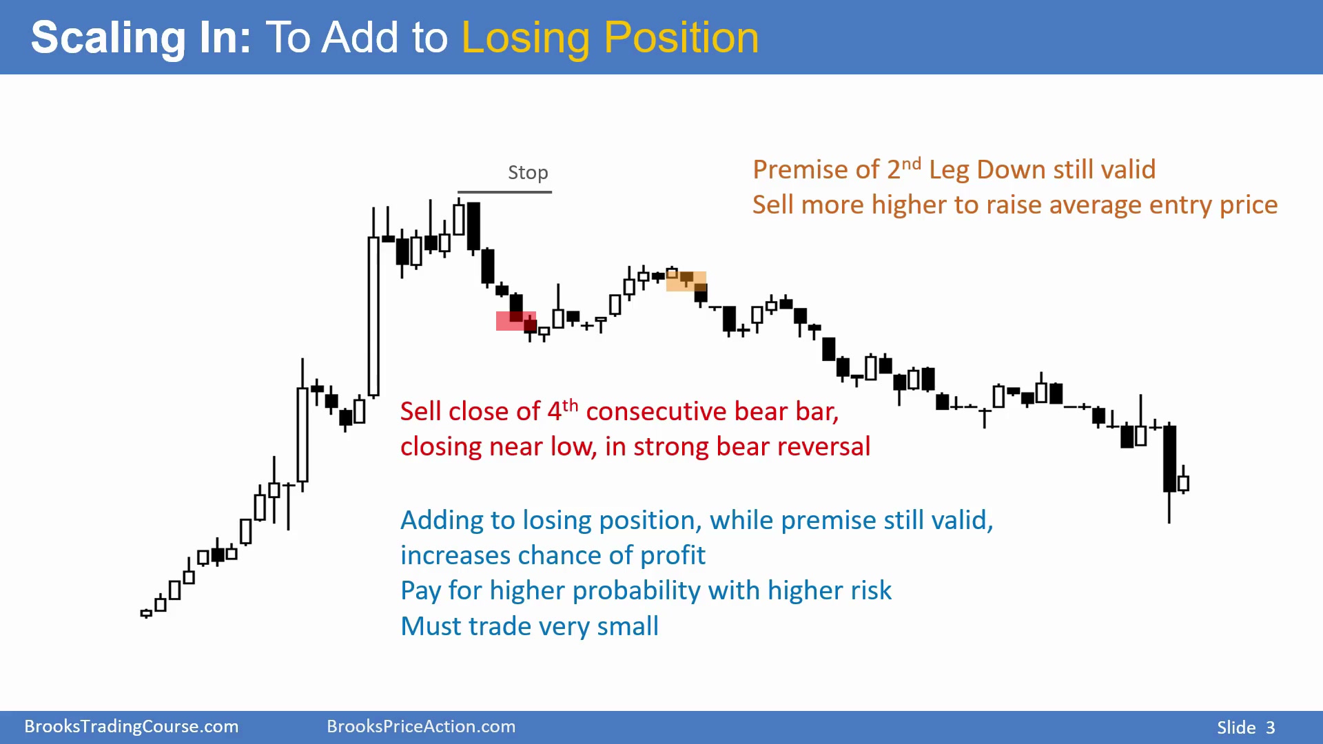 Slide 003