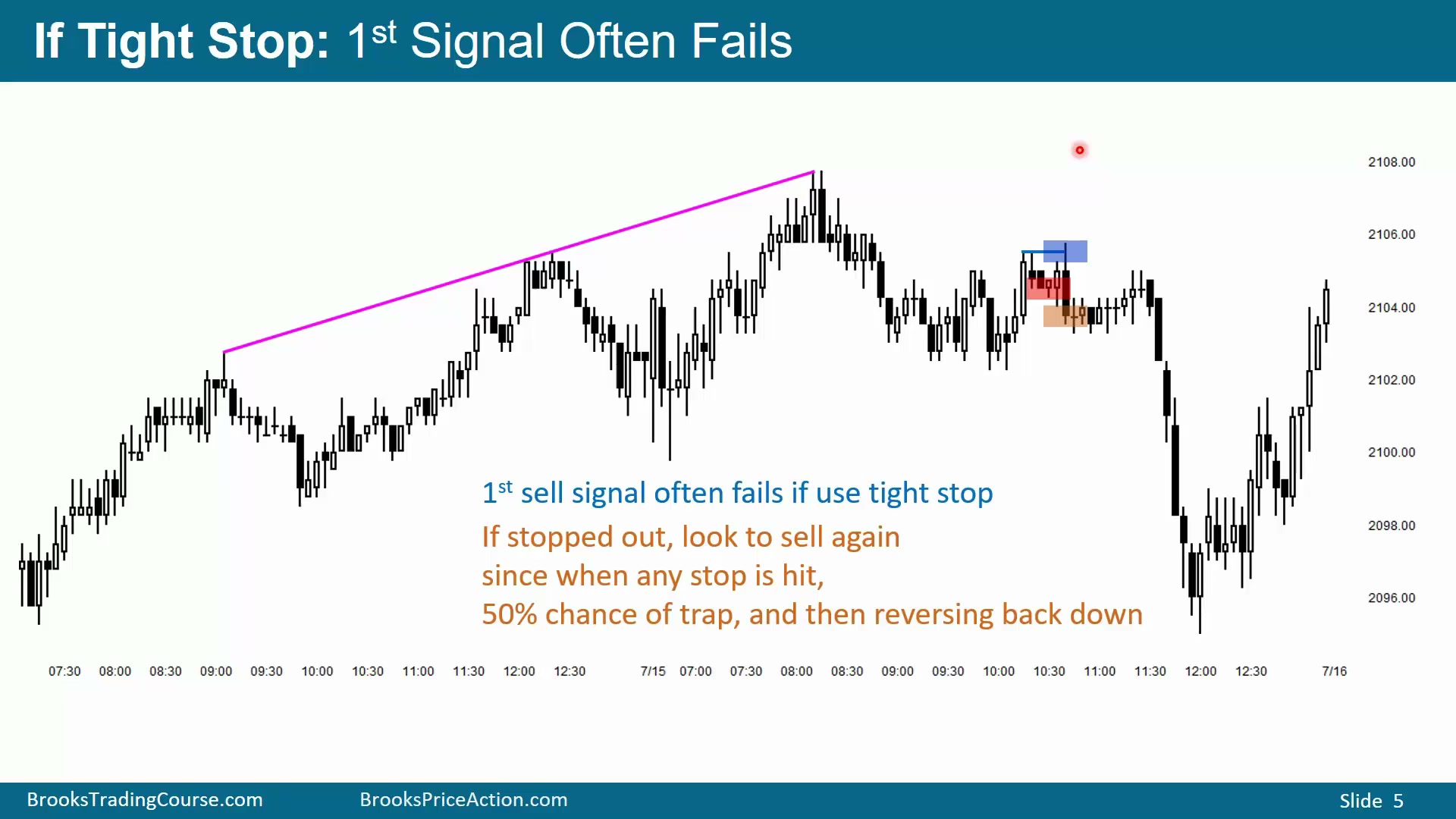 Slide 005