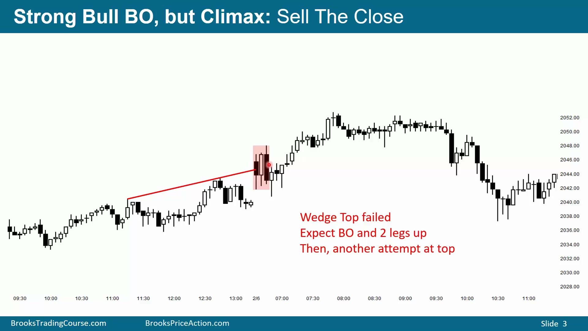 Slide 003