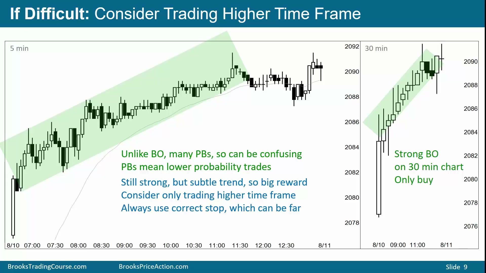 Slide 009
