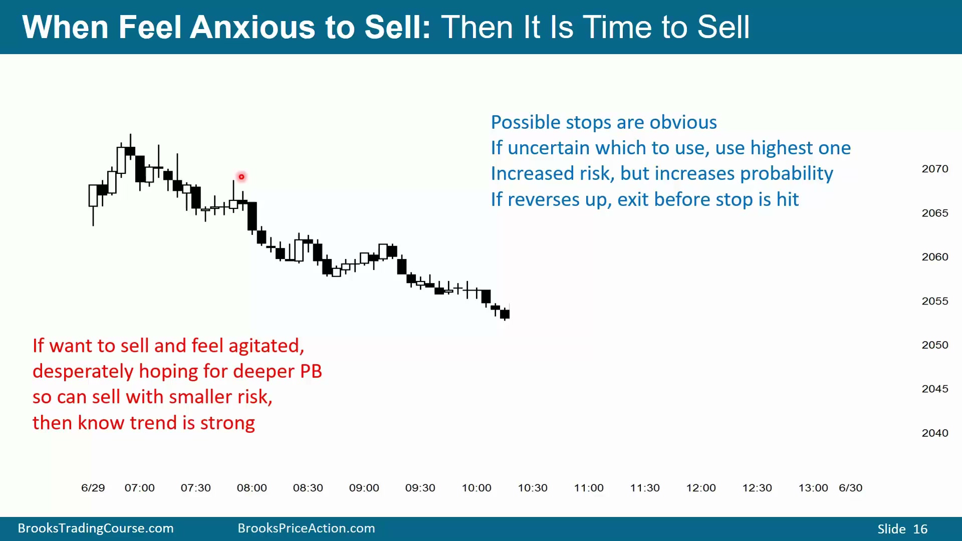 Slide 016
