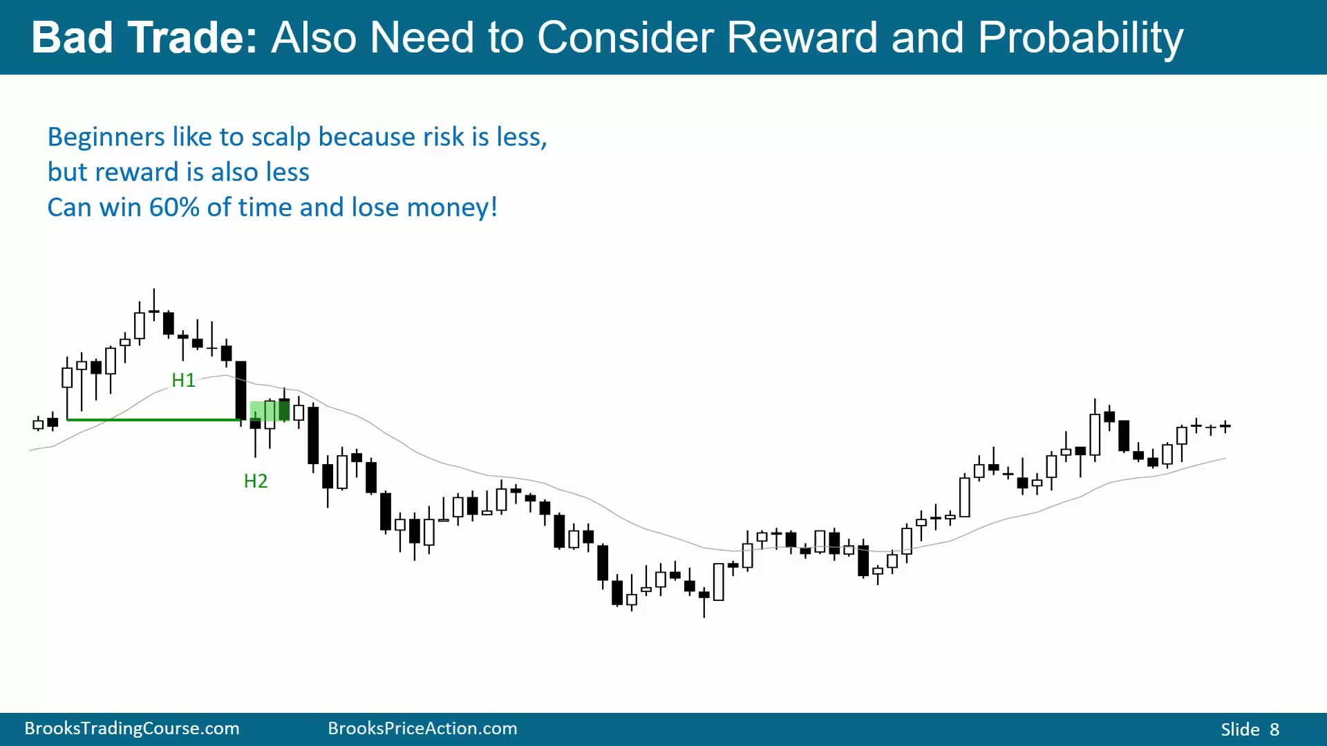Slide 008