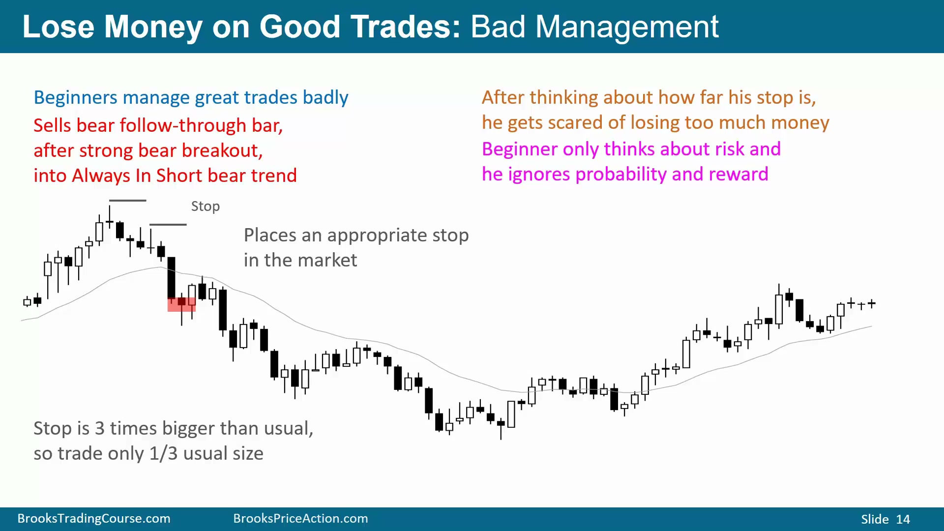 Slide 014