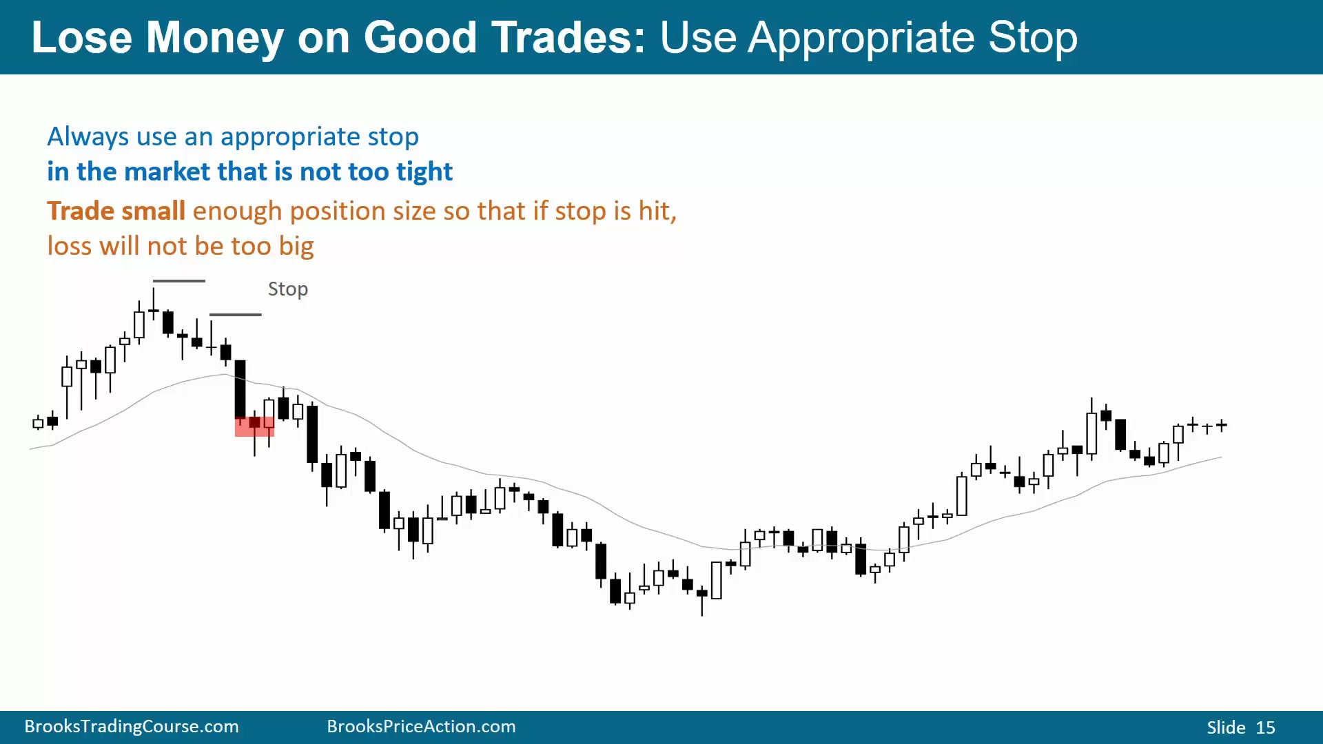 Slide 015