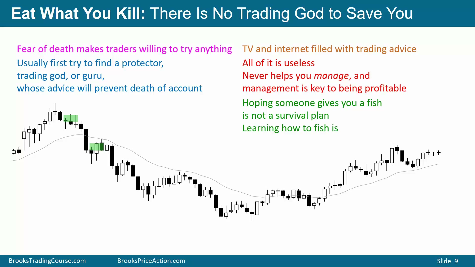 Slide 009