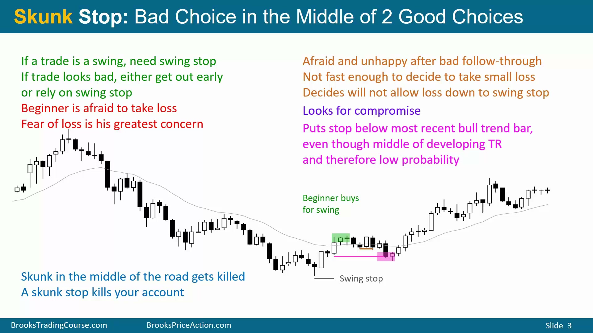 Slide 003