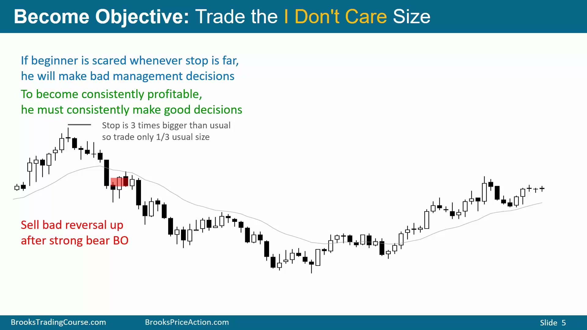 Slide 005