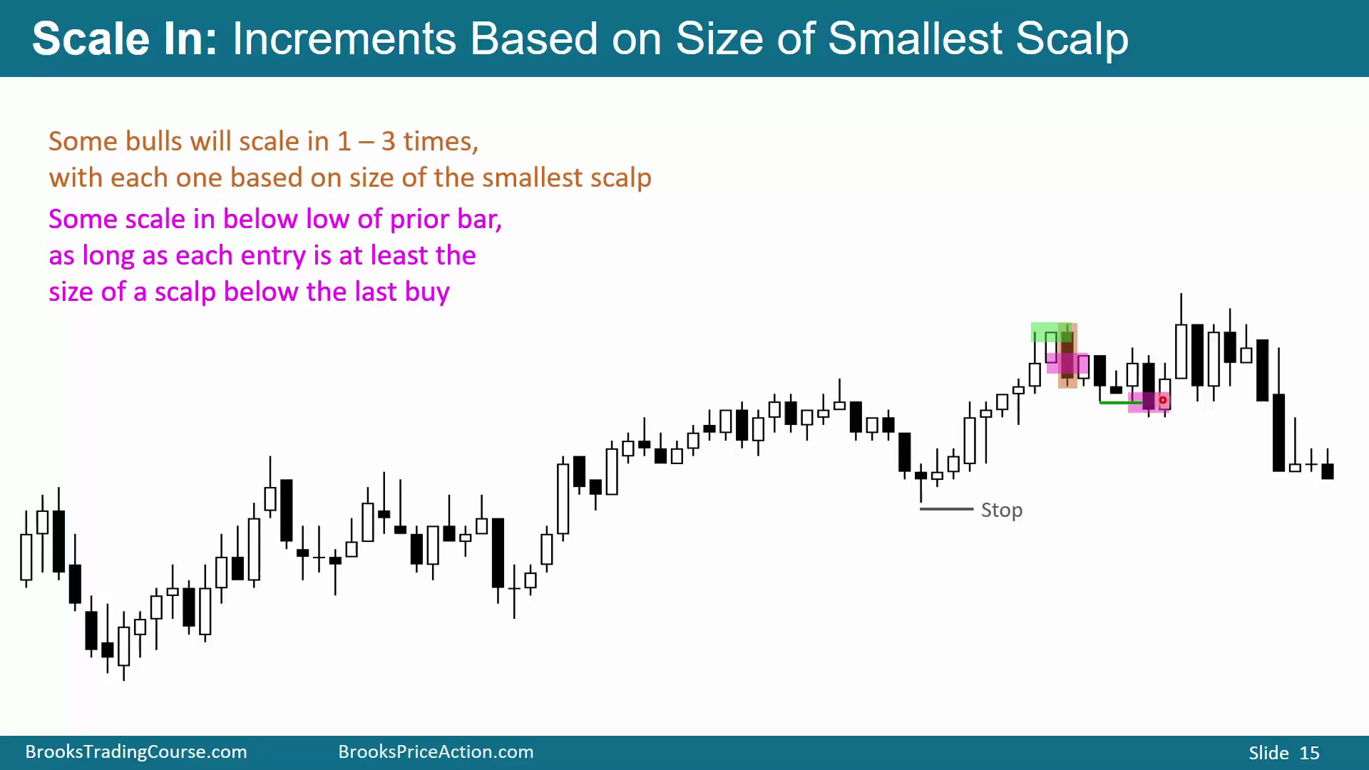 Slide 015