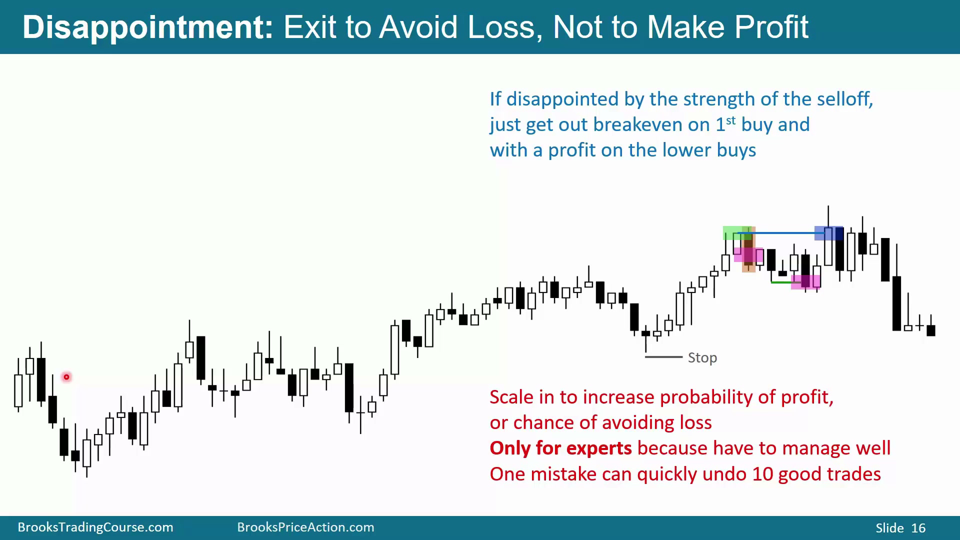 Slide 016