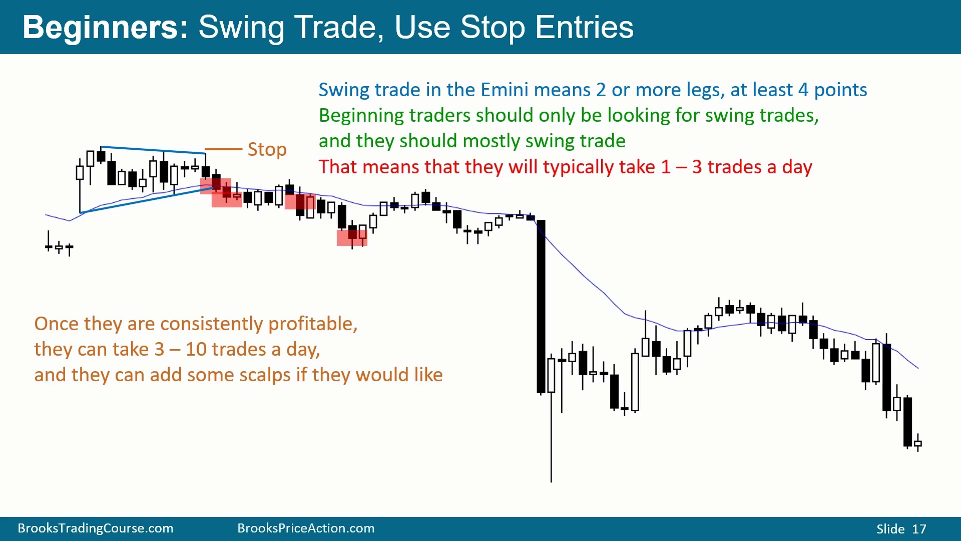 Slide 014