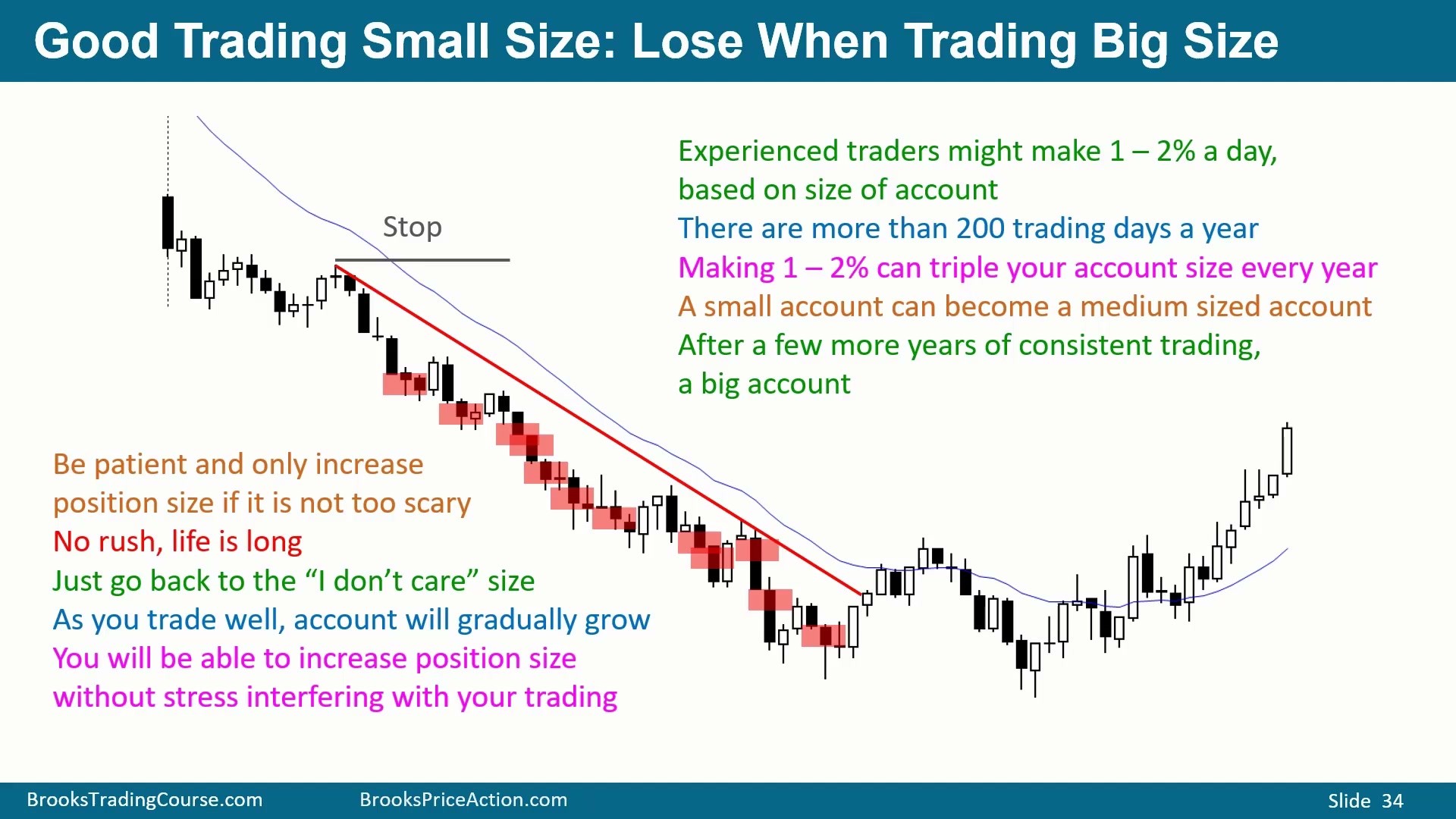 Slide 029